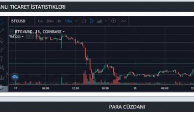 Bitcoin Al Sat Platformu