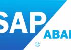 SAP Uzmanı – SAP Entegrasyonu ve ERP Çözümleri | Hakan