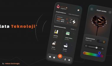 Androis İos Mobil Uygulama Akıllı Ev Sistemleri  Evinizin Tüm Kontrolü Elinizde